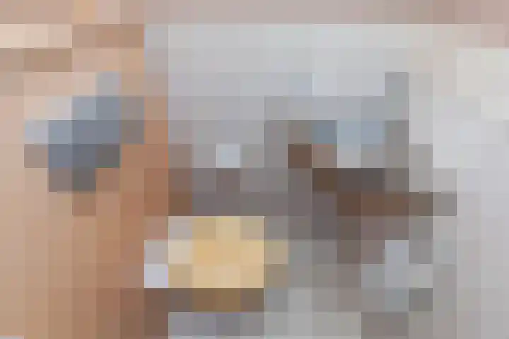 Robijn 9 Zoetermeer thumbnail 16