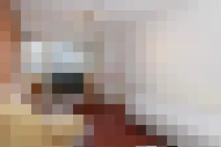 Robijn 9 Zoetermeer thumbnail 19