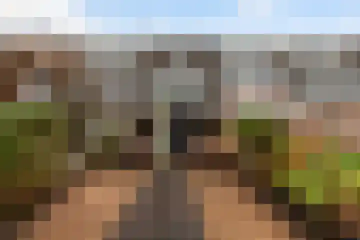 Robijn 9 Zoetermeer thumbnail 32
