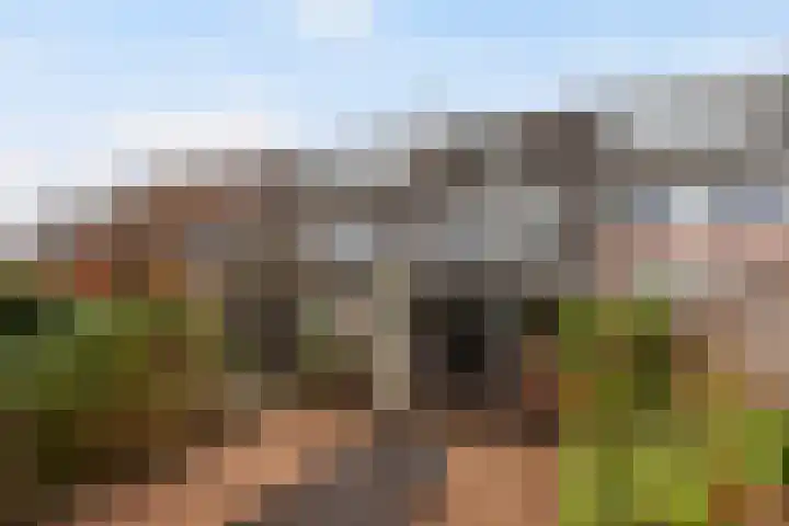 Robijn 9 Zoetermeer thumbnail 33