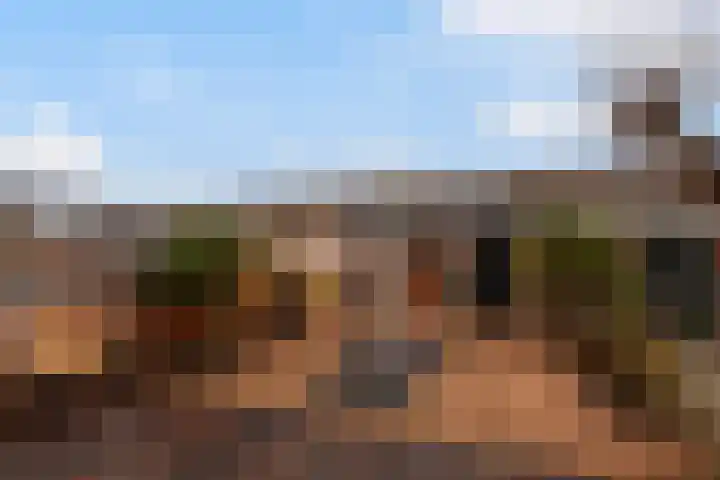Robijn 9 Zoetermeer thumbnail 34