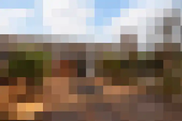 Robijn 9 Zoetermeer thumbnail 35