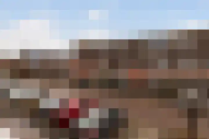 Robijn 9 Zoetermeer thumbnail 37