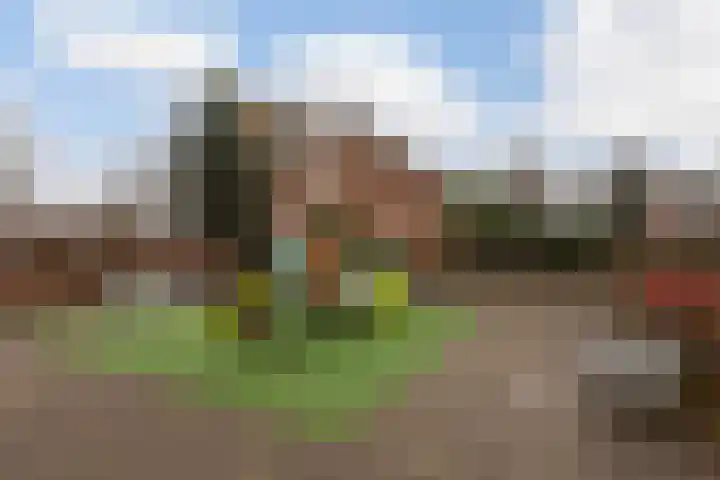 Robijn 9 Zoetermeer thumbnail 40