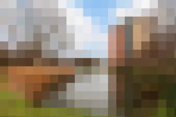 Robijn 9 Zoetermeer thumbnail 42