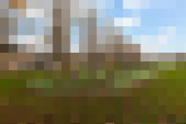 Robijn 9 Zoetermeer thumbnail 44