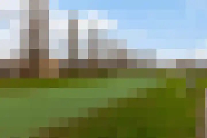 Robijn 9 Zoetermeer thumbnail 45