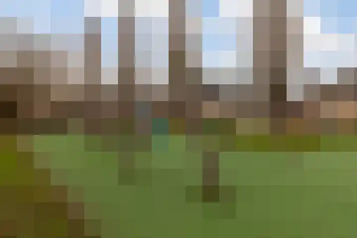 Robijn 9 Zoetermeer thumbnail 46