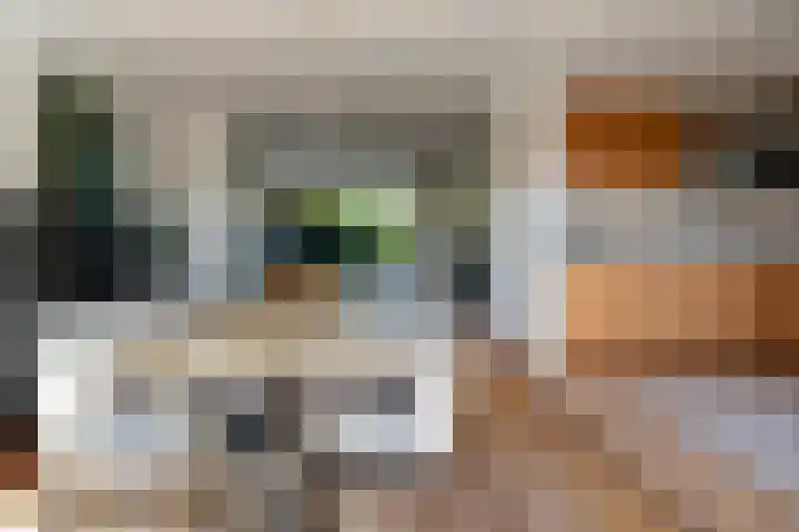 Robijn Reijntjesstraat 47 Den Helder thumbnail 10