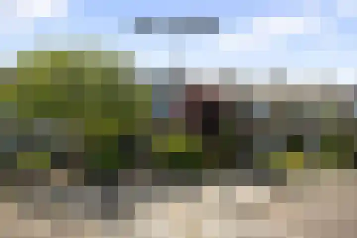 Robijn Reijntjesstraat 47 Den Helder thumbnail 31