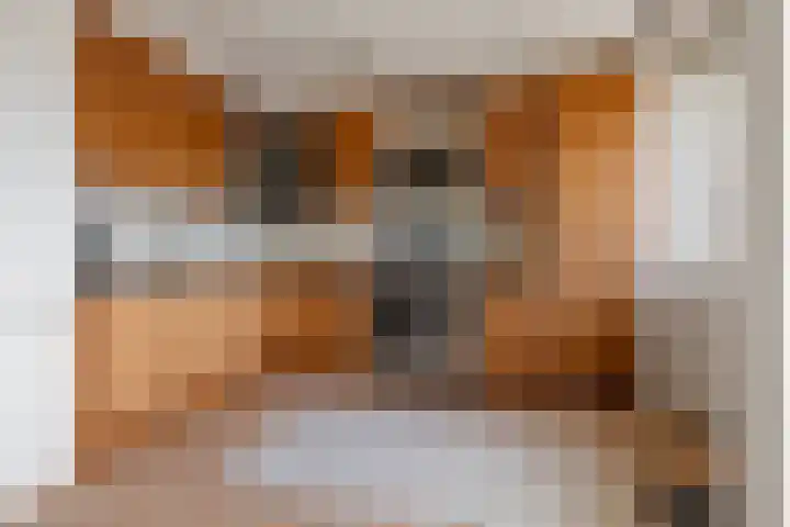 Robijn Reijntjesstraat 47 Den Helder thumbnail 8