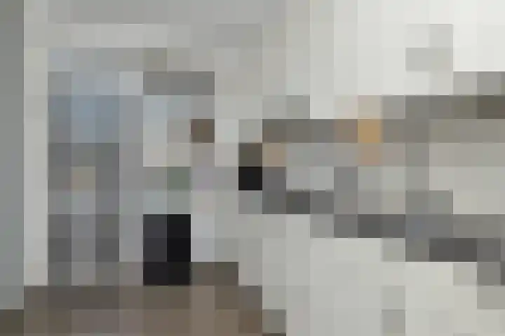 Robijn Reijntjesstraat 65 Den Helder thumbnail 20