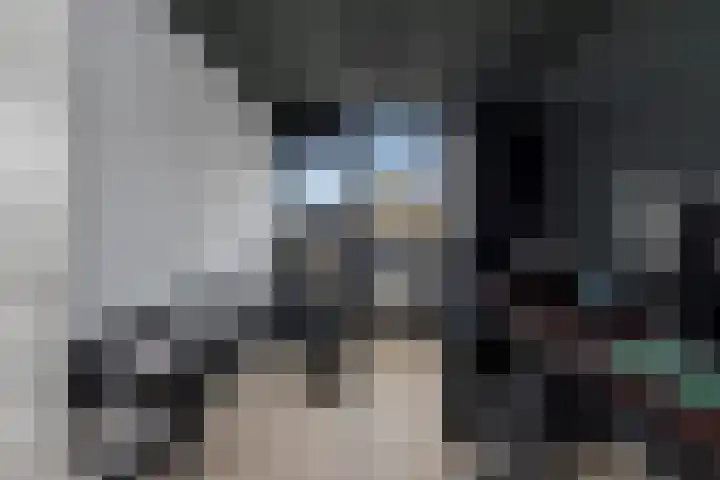 Robijn Reijntjesstraat 65 Den Helder thumbnail 39