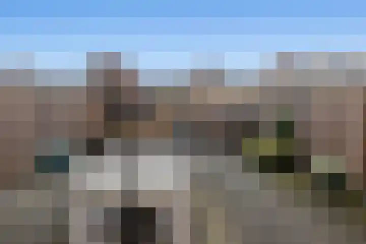 Robijn Reijntjesstraat 65 Den Helder thumbnail 44
