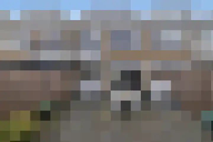 Robijn Reijntjesstraat 65 Den Helder thumbnail 46