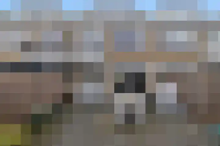 Robijn Reijntjesstraat 65 Den Helder thumbnail 47
