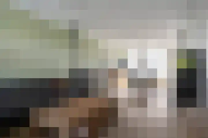 Robijn Reijntjesstraat 77 Den Helder thumbnail 7