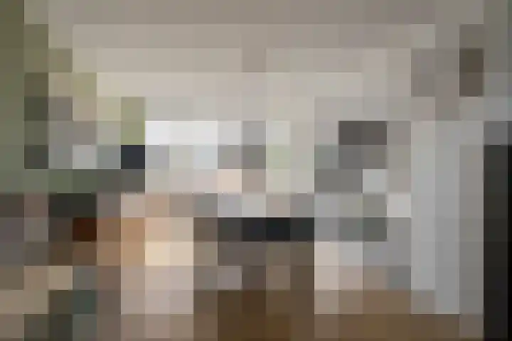 Robijn Reijntjesstraat 77 Den Helder thumbnail 8