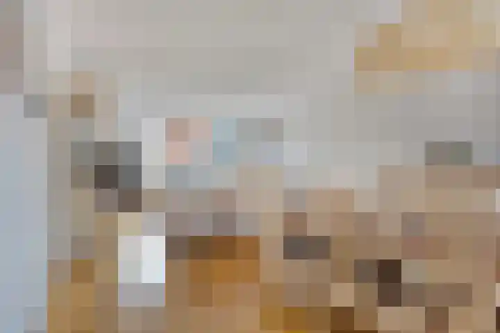 Robijnboog 13 Terneuzen thumbnail 10