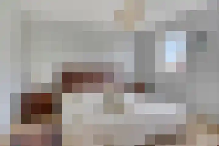 Robijnboog 13 Terneuzen thumbnail 13