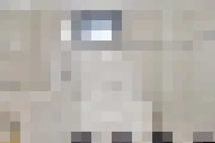 Robijnboog 13 Terneuzen thumbnail 15