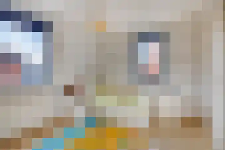 Robijnboog 13 Terneuzen thumbnail 16