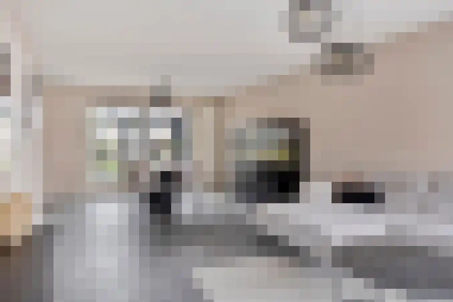 Robijnboog 26 Terneuzen thumbnail 11