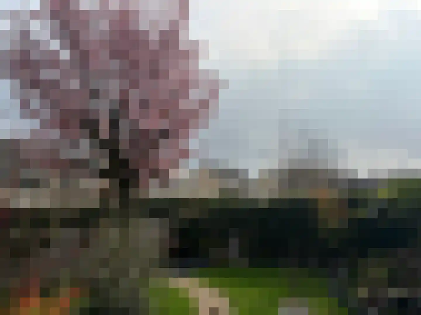 Robijnboog 26 Terneuzen thumbnail 36