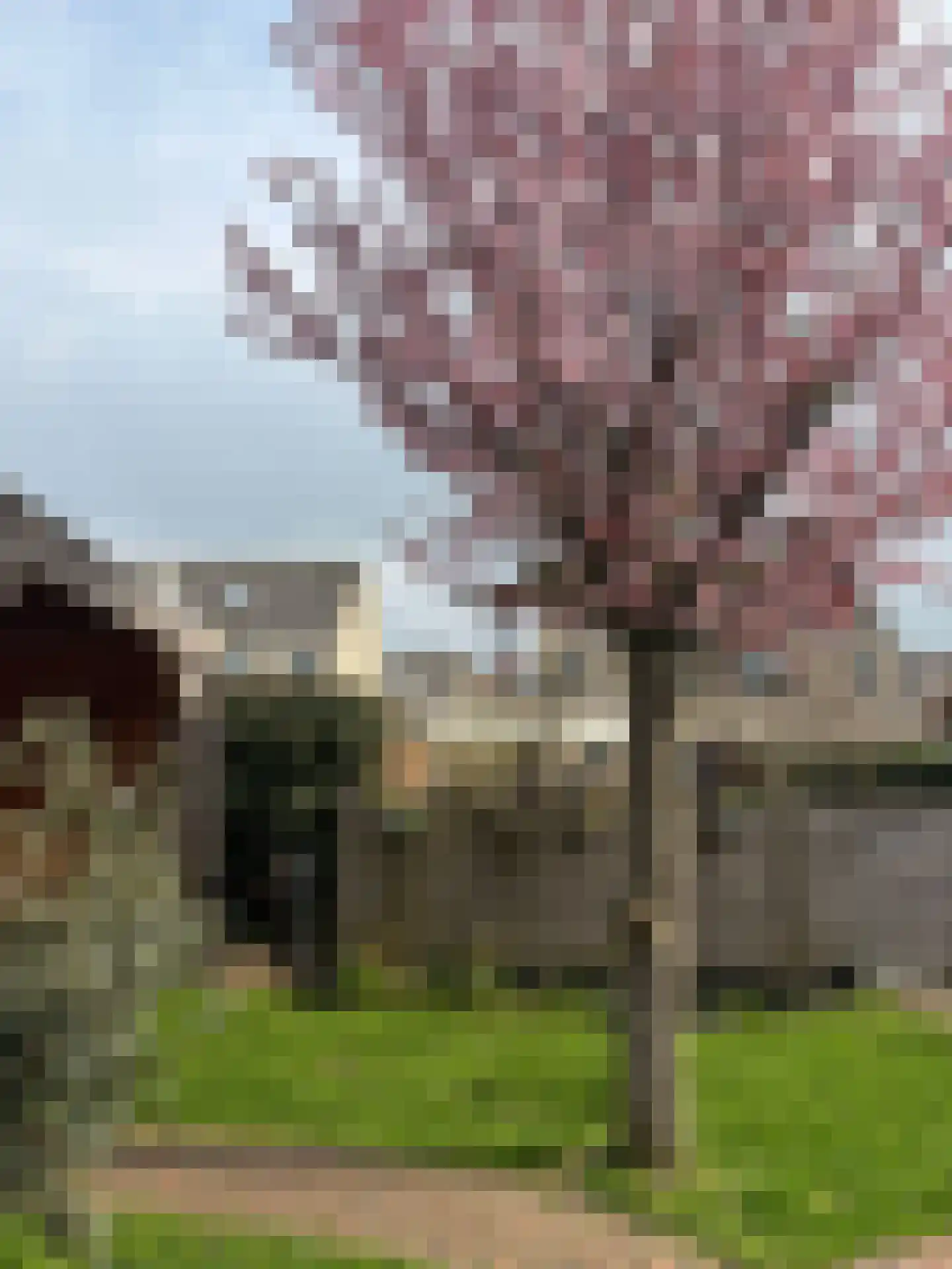 Robijnboog 26 Terneuzen thumbnail 37