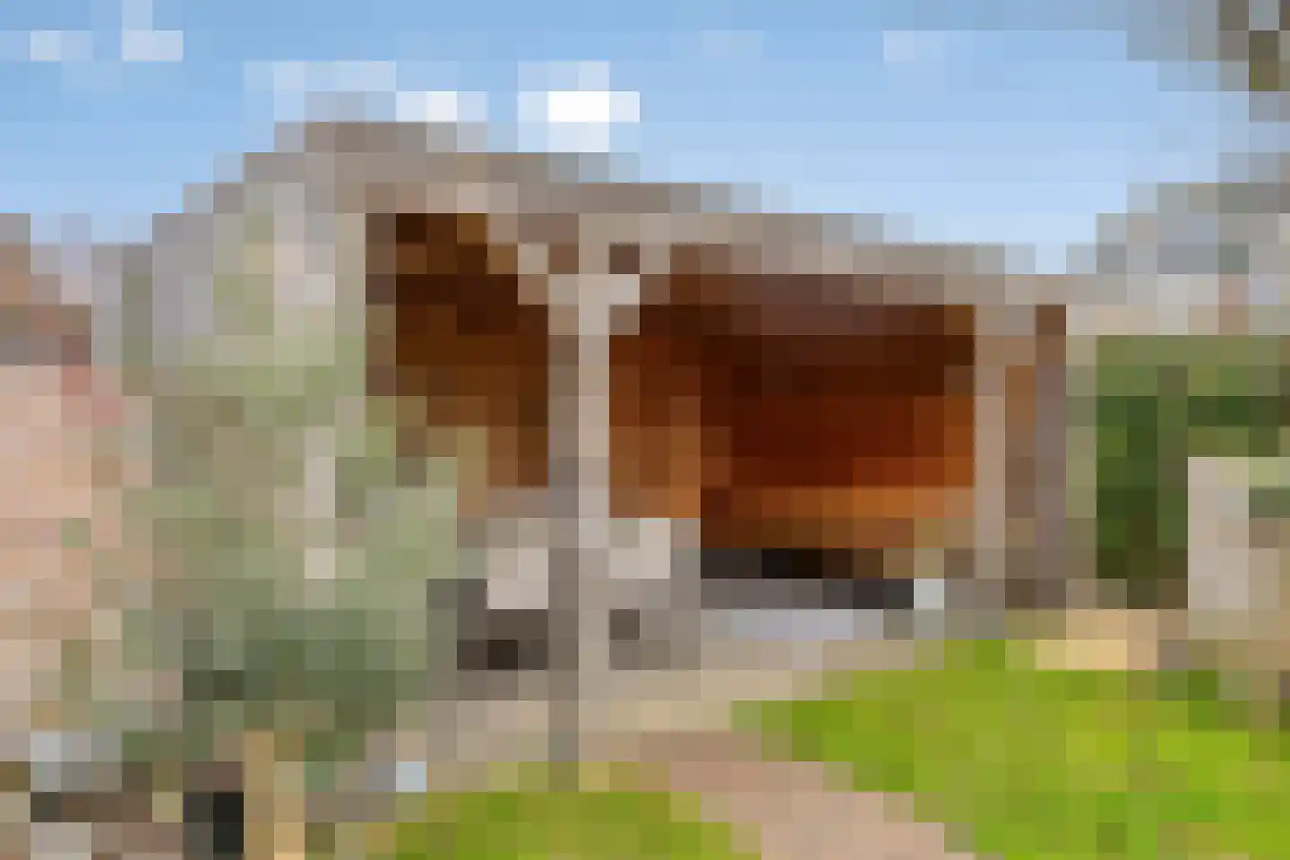 Robijnboog 26 Terneuzen thumbnail 38