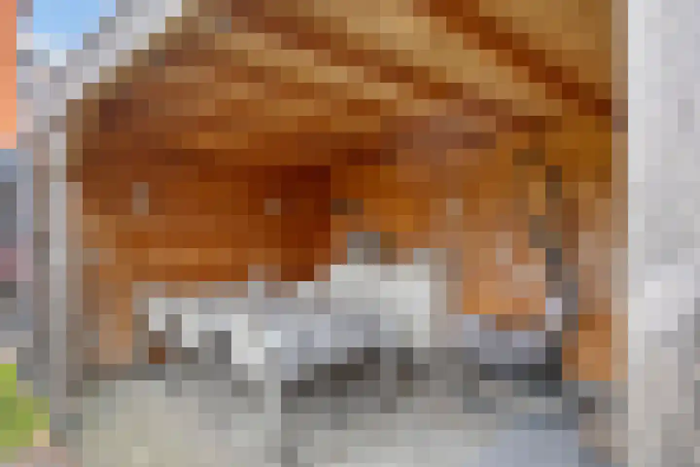 Robijnboog 26 Terneuzen thumbnail 39