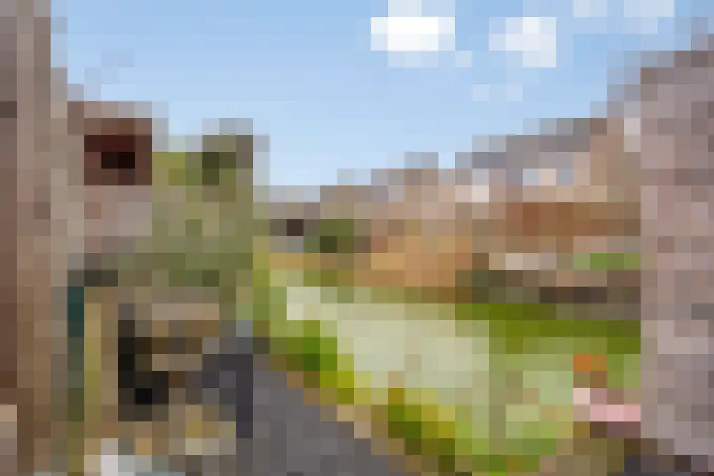 Robijnboog 26 Terneuzen thumbnail 40