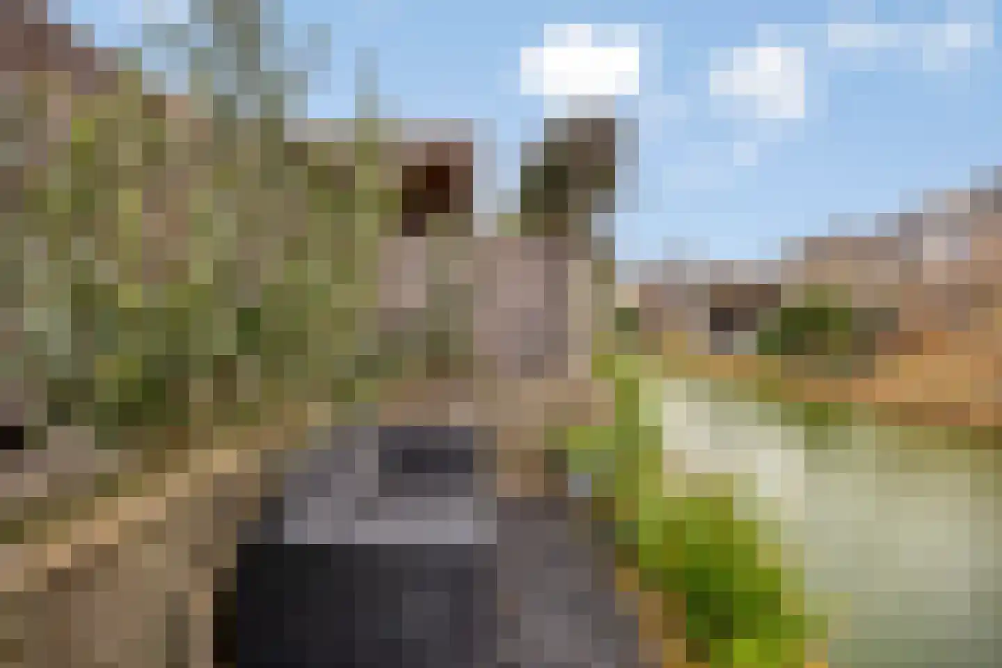 Robijnboog 26 Terneuzen thumbnail 42