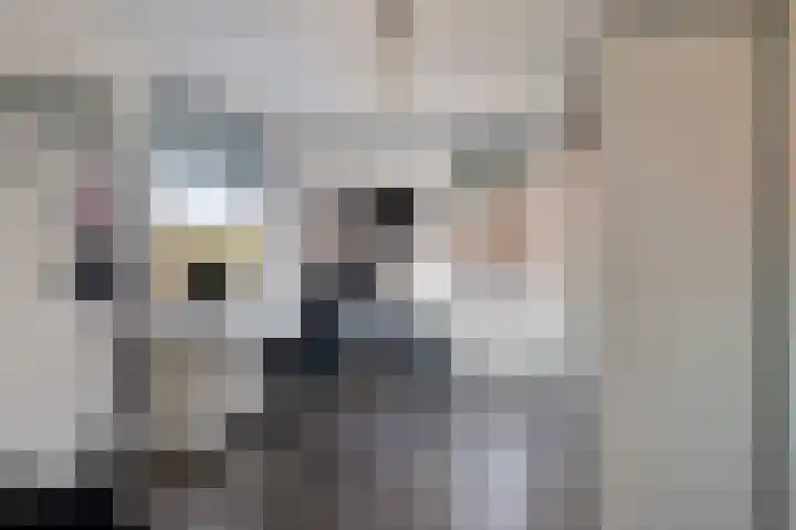 Robijnboog 28 Terneuzen thumbnail 23