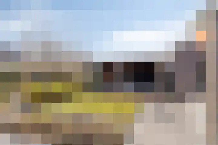Robijnboog 28 Terneuzen thumbnail 30