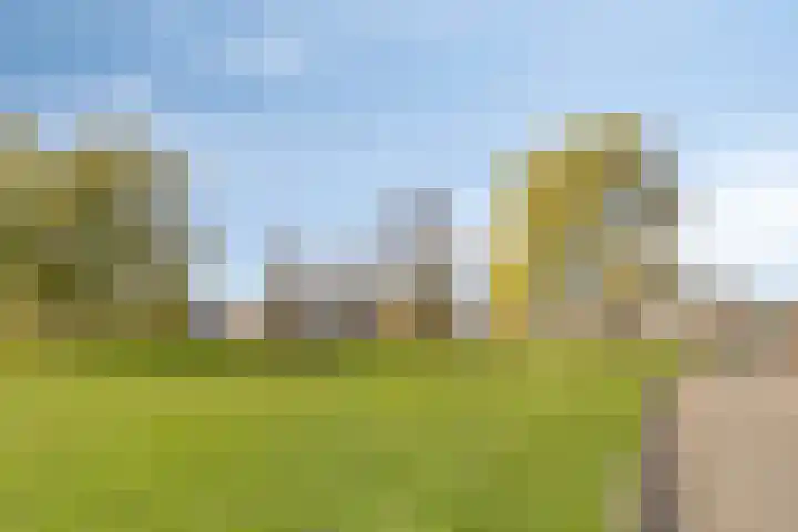Robijnboog 28 Terneuzen thumbnail 37