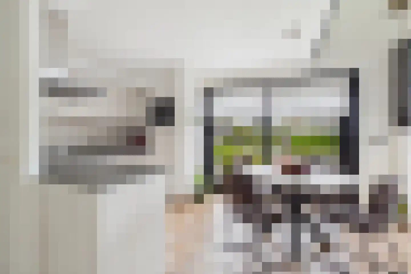 Robijnboog 33 Terneuzen thumbnail 13
