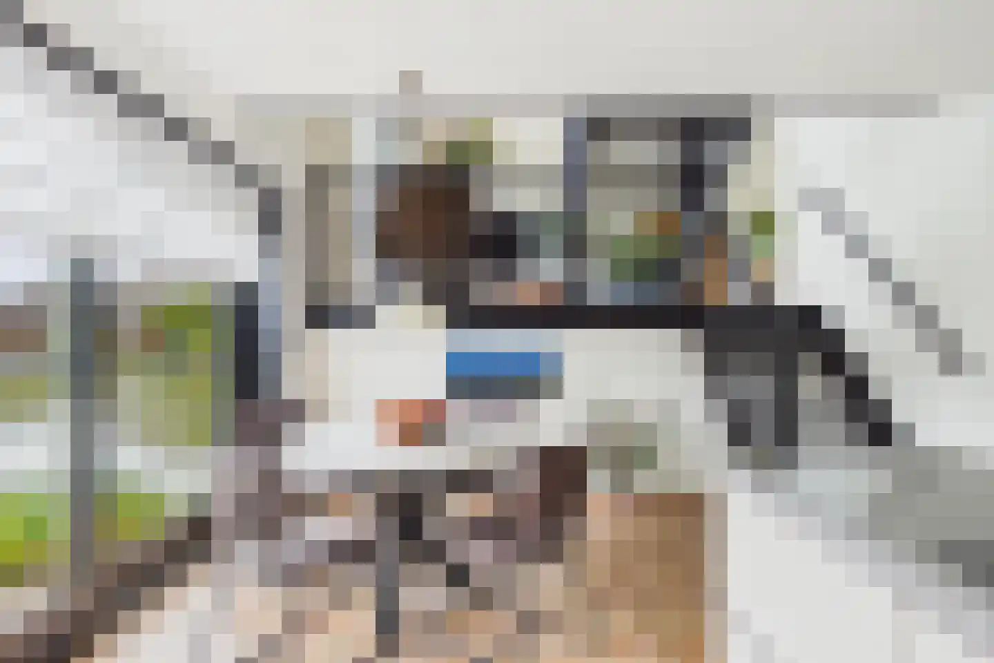 Robijnboog 33 Terneuzen thumbnail 16