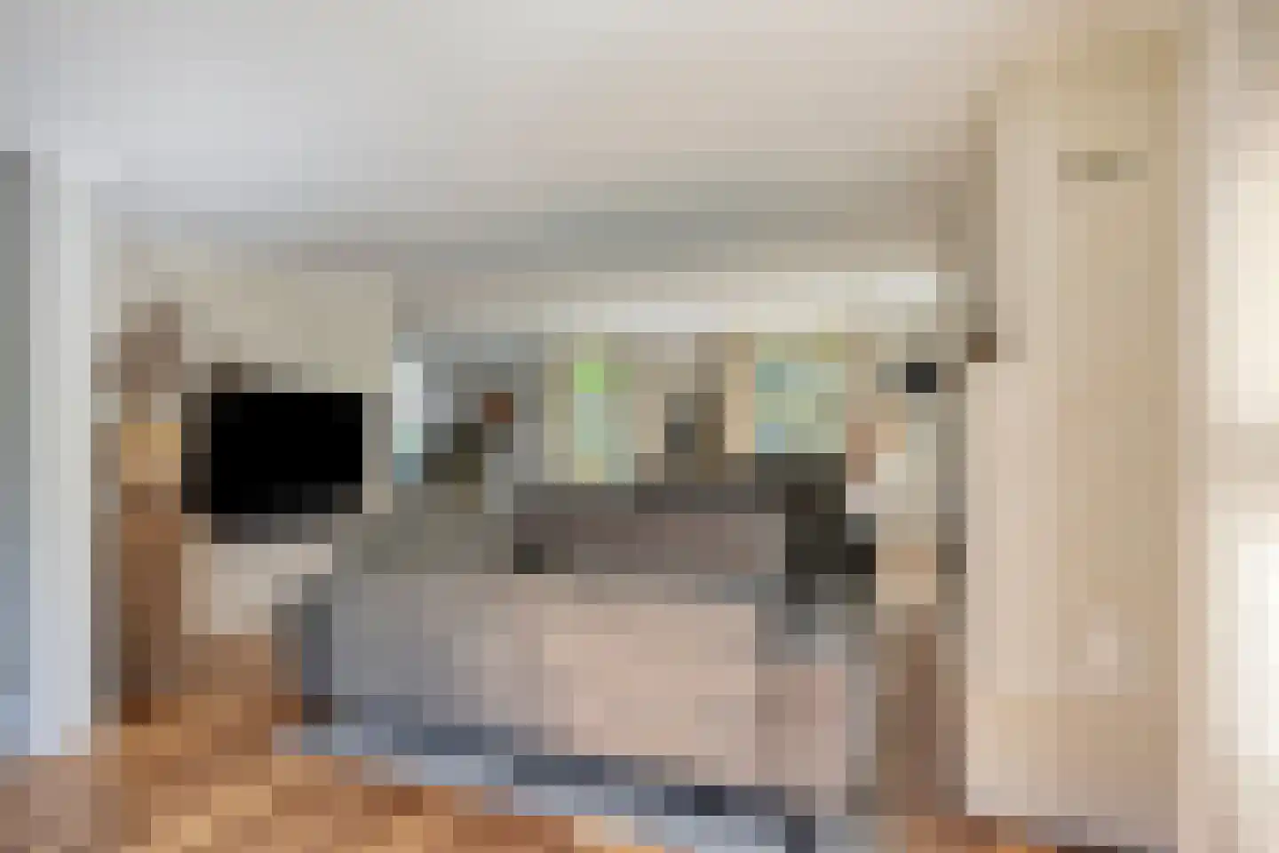 Robijnborch 7 Rosmalen thumbnail 11