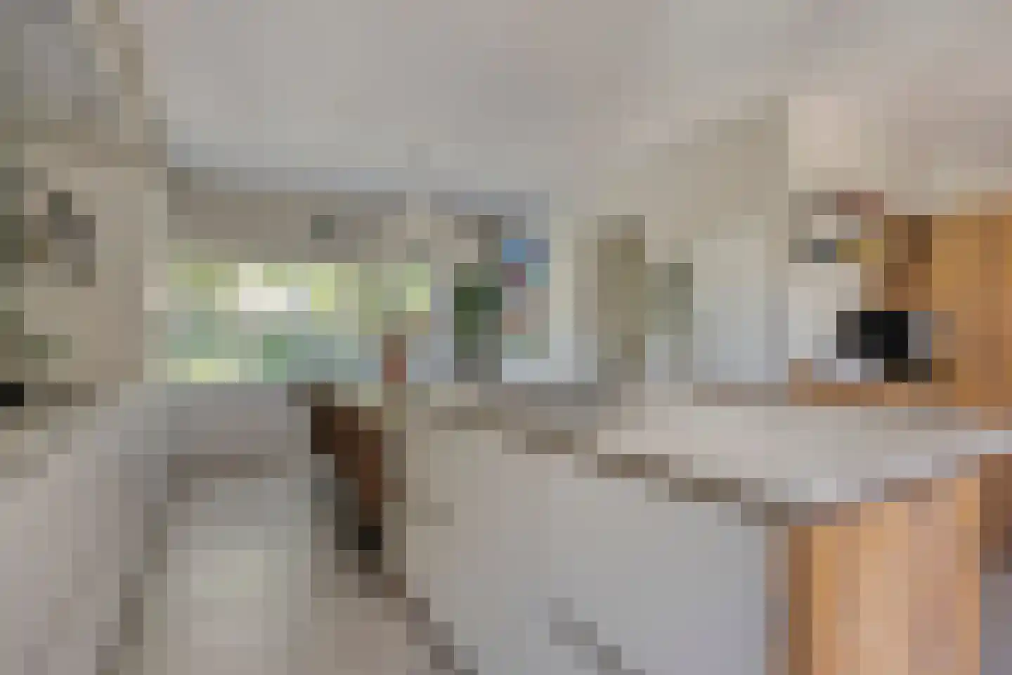 Robijnborch 7 Rosmalen thumbnail 20
