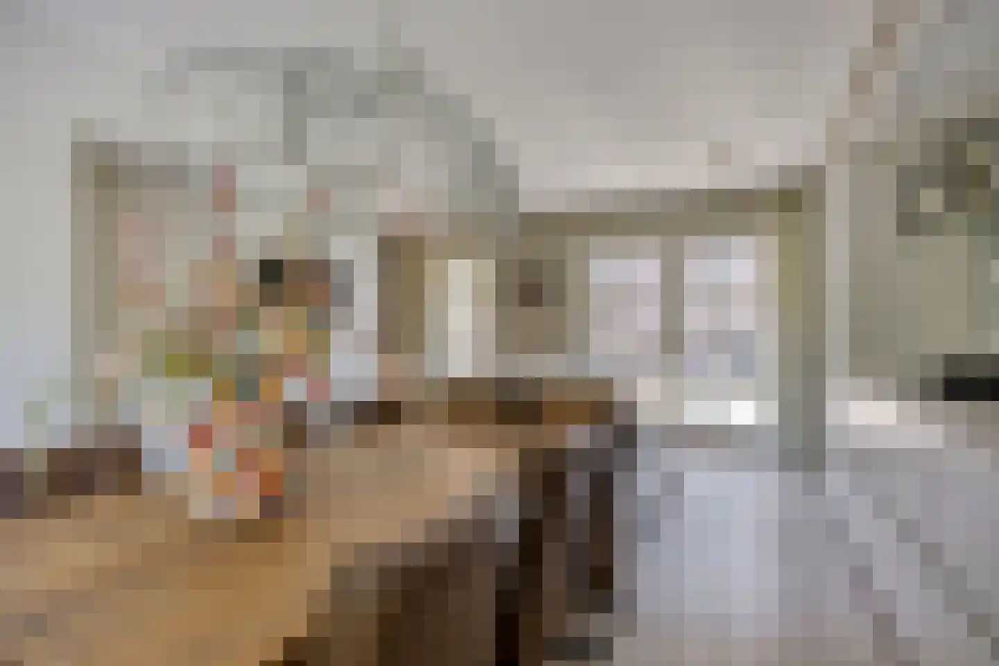 Robijnborch 7 Rosmalen thumbnail 23