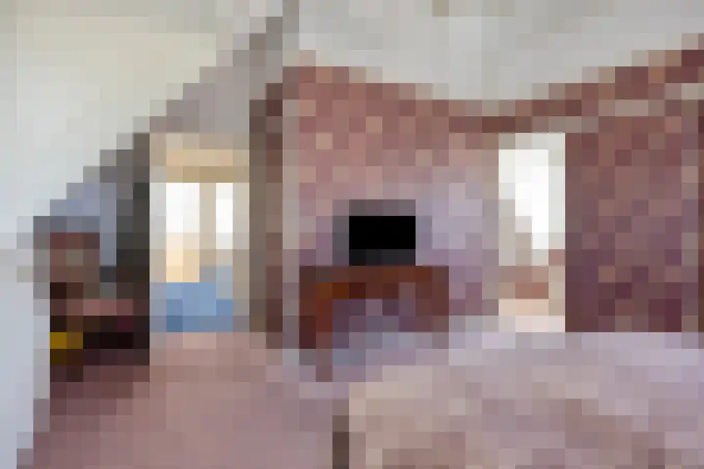 Robijnborch 7 Rosmalen thumbnail 28