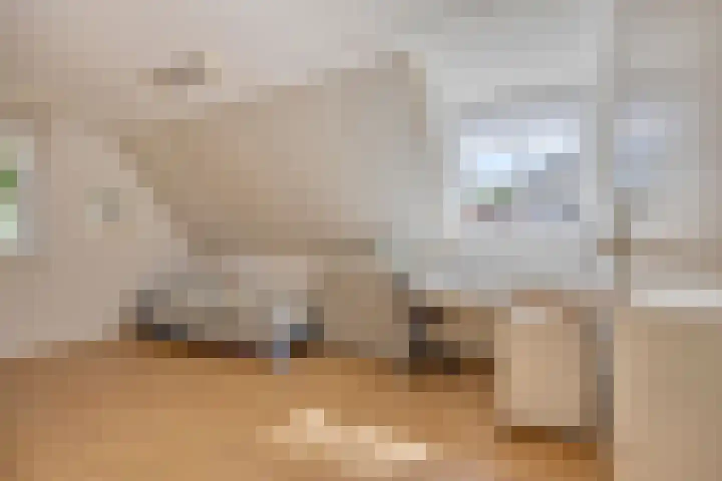 Robijnborch 7 Rosmalen thumbnail 33