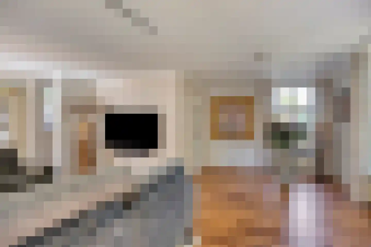 Robijnborch 7 Rosmalen thumbnail 6