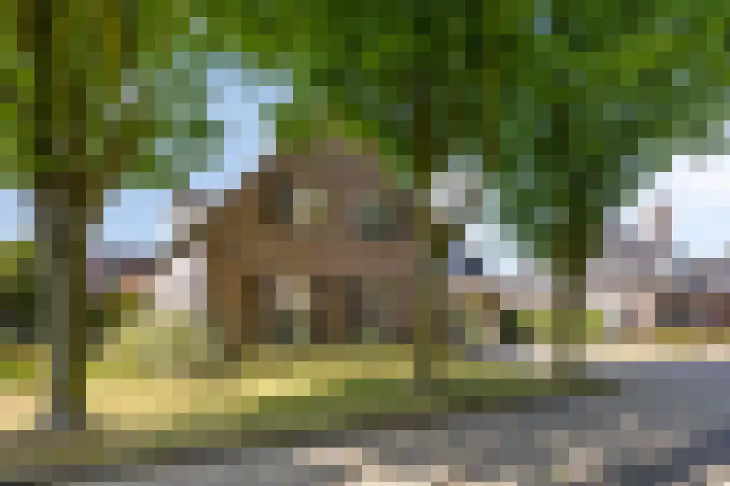 Robijnborch 7 Rosmalen thumbnail 62