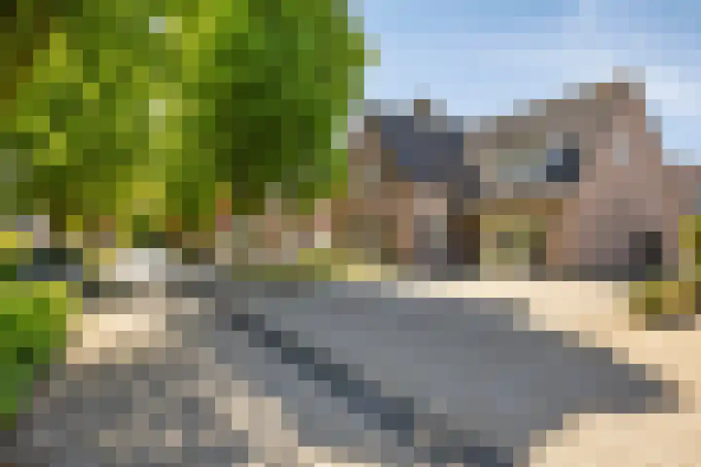 Robijnborch 7 Rosmalen thumbnail 65