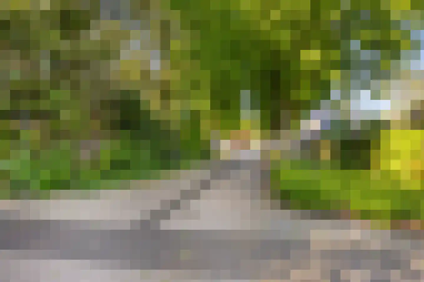 Robijnborch 7 Rosmalen thumbnail 68