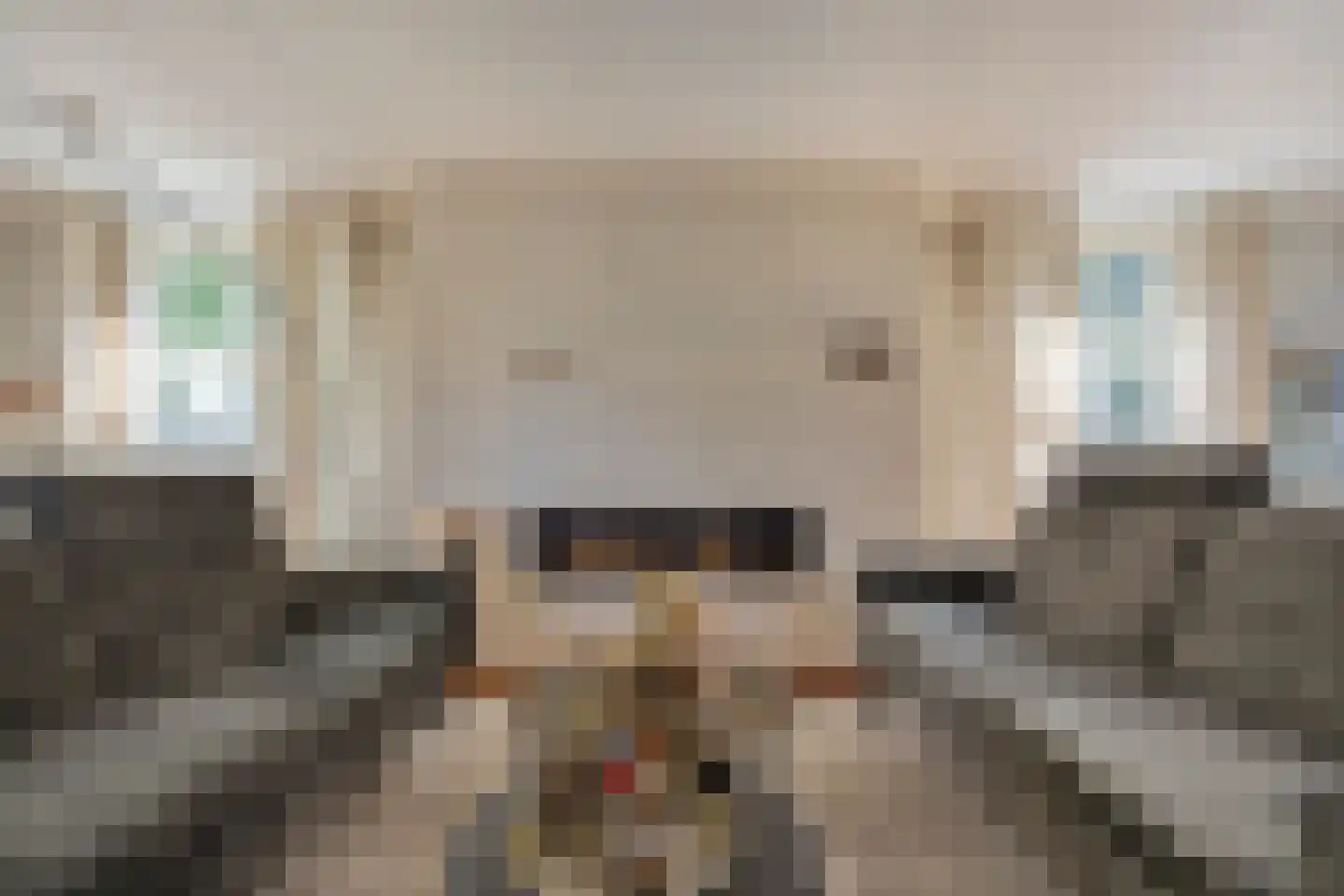 Robijnborch 7 Rosmalen thumbnail 9