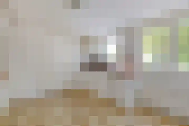 Robijnborch 9 Rosmalen thumbnail 12