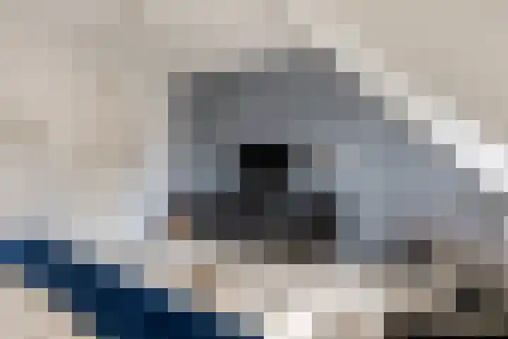 Robijnborch 9 Rosmalen thumbnail 18